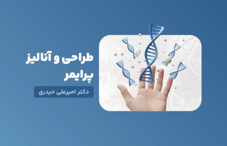 طراحی و آنالیز پرایمر