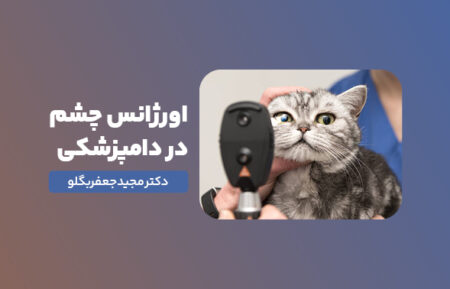 مروری بر اورژانس چشم در دامپزشکی